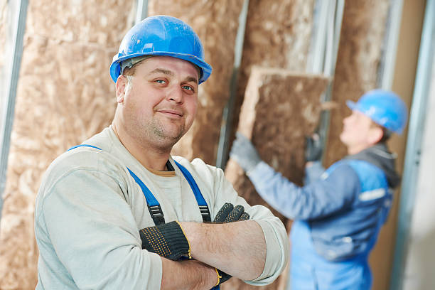 Best Residential Insulation in Langley Park, MD