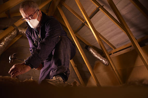 Best Insulation Installation Services in Langley Park, MD