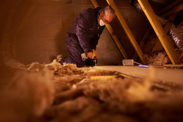 Best Insulation for Specific Applications in Langley Park, MD